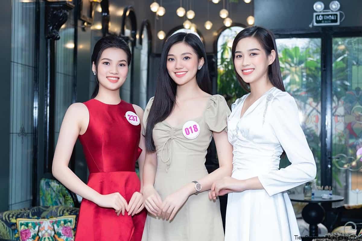 Tiểu sử Đỗ Thị Hà - Hoa hậu Việt Nam 2020